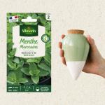 Kit de jardinage - Kit semis Menthe Marocaine + Olla Vert - face recto